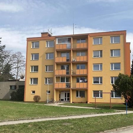 Apartman Ve Velkych Losinach Velké Losiny Eksteriør bilde