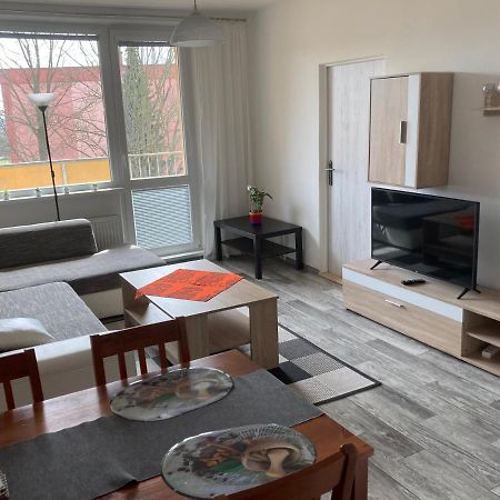 Apartman Ve Velkych Losinach Velké Losiny Eksteriør bilde